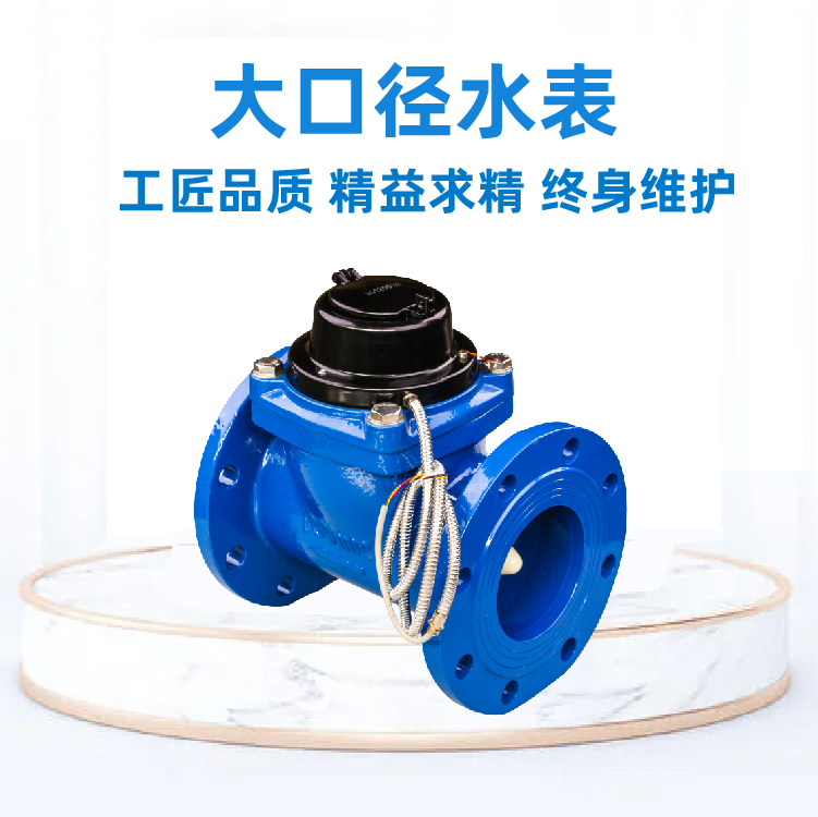物联网大口径水表厂家排名