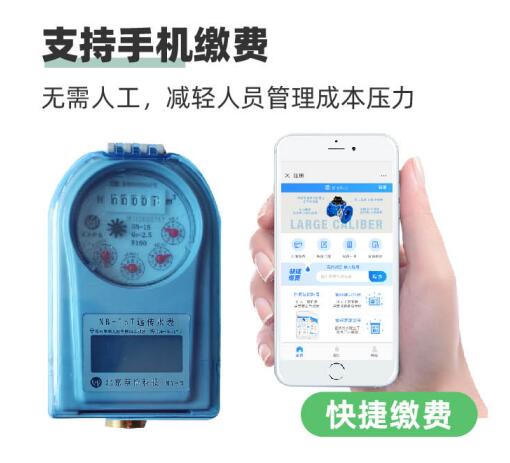 远传阀控水表价格及功能特点