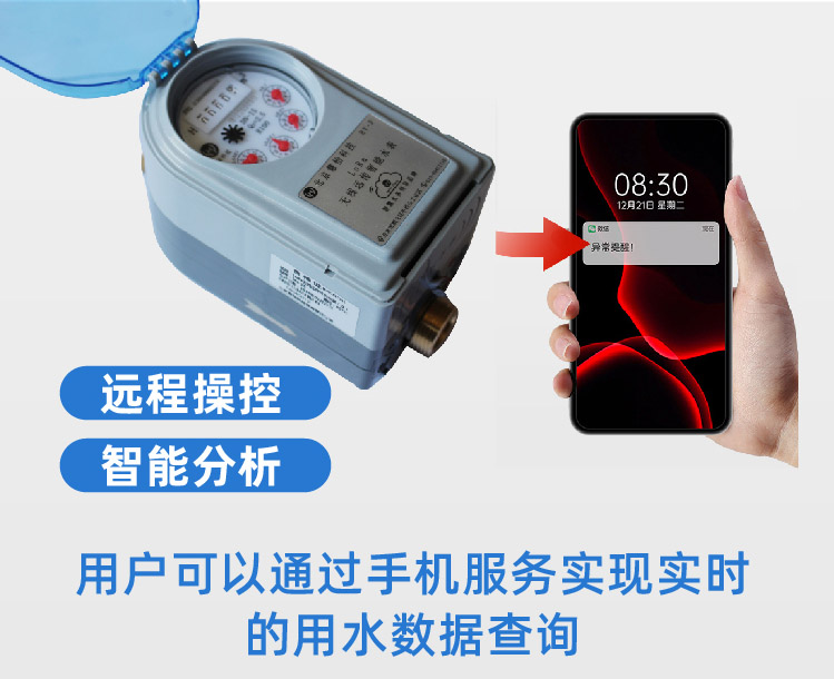 远传阀控水表(饮用水冷热计量)