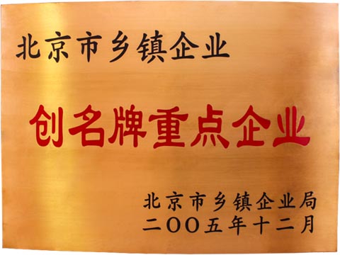 北京市乡镇企业创名牌重点企业