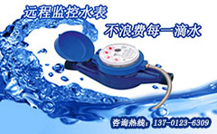 智能远传水表以功能与实力成功“上位”