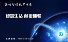 智享生活，智能数字水表风尚来袭