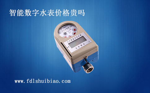 智能数字水表