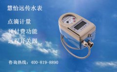 阀控智能远传水表品牌哪个好呢?