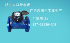 法兰大口径水表广泛应用于工业生产