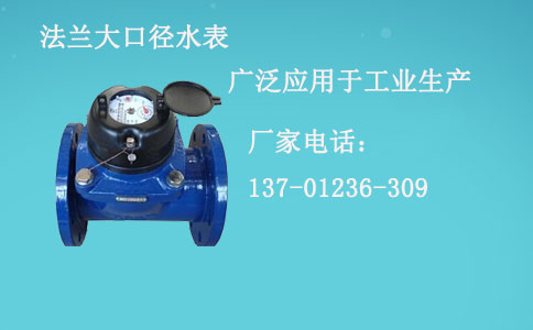 法兰大口径水表