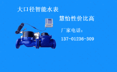 大口径智能水表功能及价格高吗