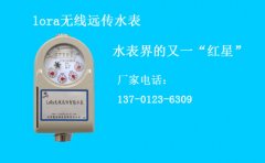 Lora无线远传水表水表界的又一 “红星”