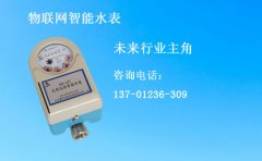 物联网智能水表——未来水表行业的主角