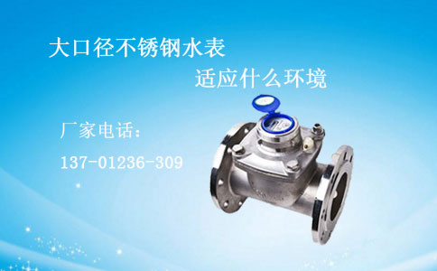 大口径不锈钢水表