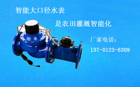智能大口径水表