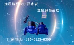 远程监测大口径水表您了解吗