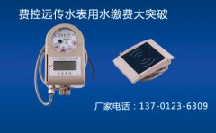 费控远传水表用水模式大突破