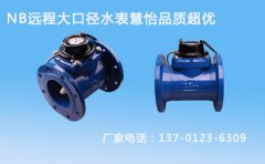 NB远程大口径水表您了解吗?