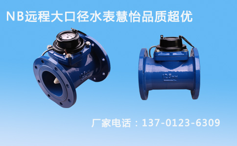大口径水表