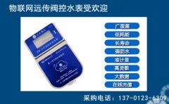好的远传阀控水表价格到底需要多少钱