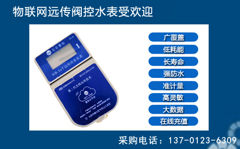 远传阀控水表