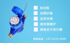 光电直读水表是远传水表常用表型
