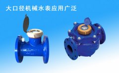 大口径水表机械的是多少钱一块