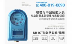 无线远传智能水表详情简介